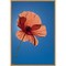 Poppy Flower on Blue by Michele Niles Danita Delimont 16-in. W x 23-in. H. Canvas Wall Art Print Framed in Natural